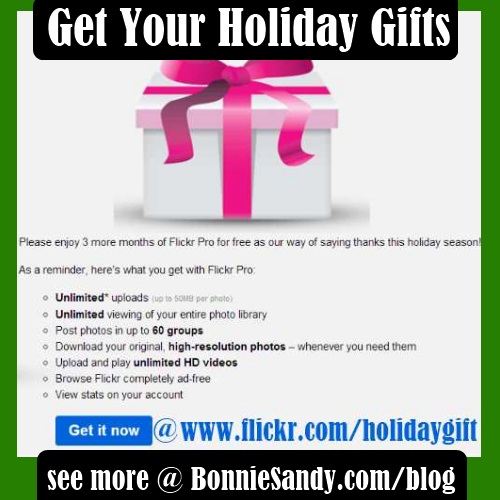 flickr pro holiday gift